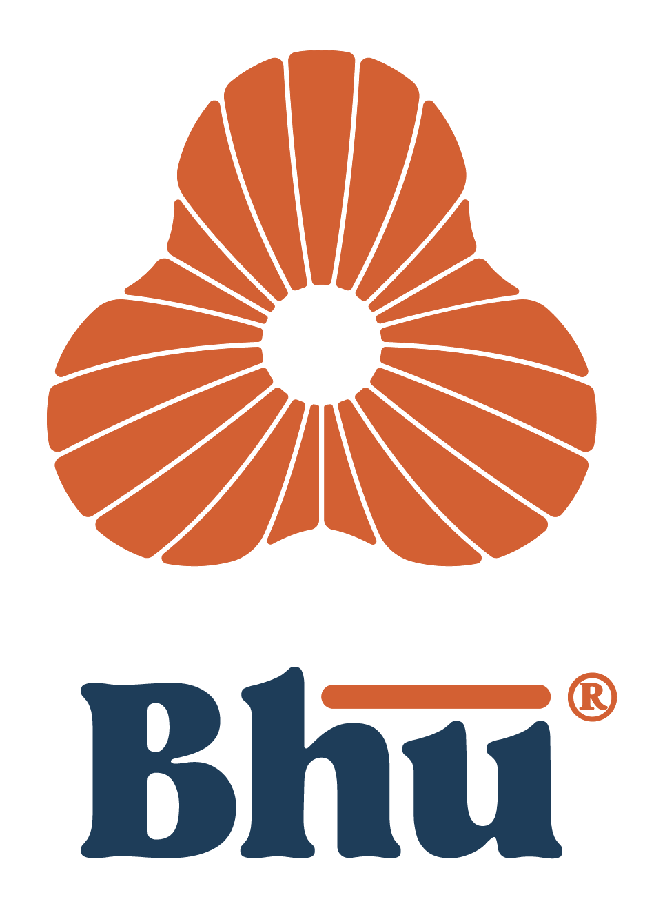 Bhu One Logo